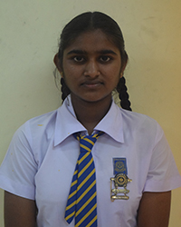 P.G විදුෂා නෙත්මානි 